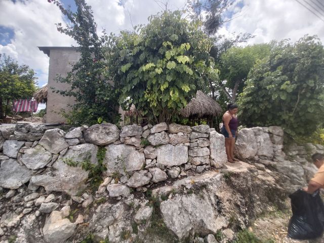 Apoyo a la Comunidad Maya